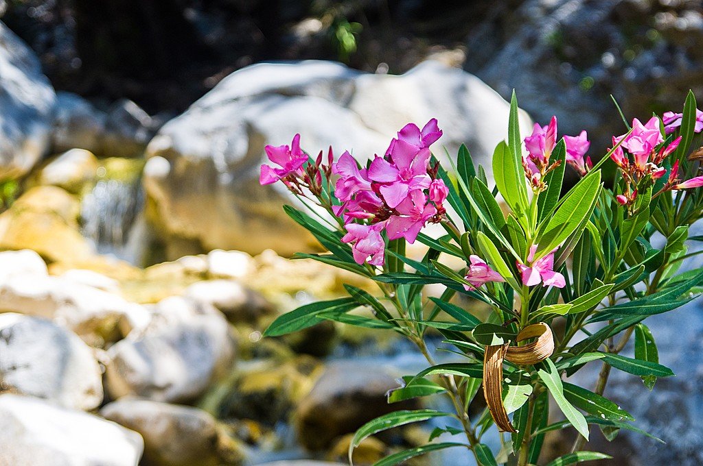 GREEK ISLAND – CRETE – NATURE & GASTRONOMY - SINGLES HOLIDAYS