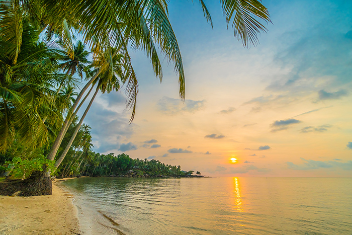INDIA - KERALA - SINGLES HOLIDAYS
