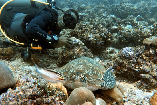 MALDIVES CRUISE - SINGLES HOLIDAYS