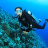 EGYPT - HURGHADA - GOSINGLES HOLIDAYS