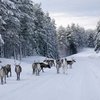FINLAND - NORTHERN LIGHTS - SINGLES HOLIDAYS