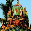 INDIA - KERALA - SINGLES HOLIDAYS