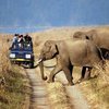 INDIA - THE GOLDEN TRIANGLE & RANTHAMBORE WILDLIFE SAFARI - SINGLES HOLIDAYS