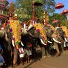 INDIA - KERALA - SINGLES HOLIDAYS