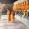 HIMALAYAN KINGDOMS - NEPAL & BHUTAN - SINGLES HOLIDAYS