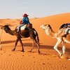 SPLENDOURS OF MOROCCO - SINGLES HOLIDAYS