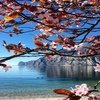 ITALIAN LAKES - LAKE GARDA - SINGLES HOLIDAYS