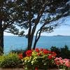 ITALIAN LAKES - LAKE GARDA - SINGLES HOLIDAYS