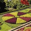 MADEIRA- FUNCHAL - SINGLES HOLIDAYS