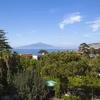 ITALY - AMALFI COAST - SINGLES HOLIDAYS