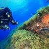 SPAIN - MAJORCA - SINGLES HOLIDAYS