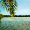 GAMBIA - SINGLES HOLIDAYS
