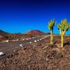 CANARY ISLANDS - LANZAROTE - SINGLES HOLIDAYS