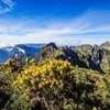 MADEIRA – WALKING - SINGLES HOLIDAYS