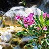 GREEK ISLAND – CRETE – NATURE & GASTRONOMY - SINGLES HOLIDAYS