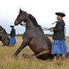 DANUBE DISCOVERY - GOSINGLES HOLIDAYS