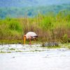 SOUTH AFRICA - SAIL & SAFARI - SINGLES HOLIDAYS