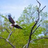 SOUTH AFRICA - SAIL & SAFARI - SINGLES HOLIDAYS