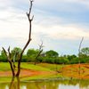 SOUTH AFRICA - SAIL & SAFARI - SINGLES HOLIDAYS