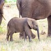SOUTH AFRICA - SAIL & SAFARI - SINGLES HOLIDAYS