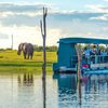 SOUTH AFRICA - SAIL & SAFARI - SINGLES HOLIDAYS