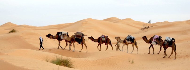 Africa