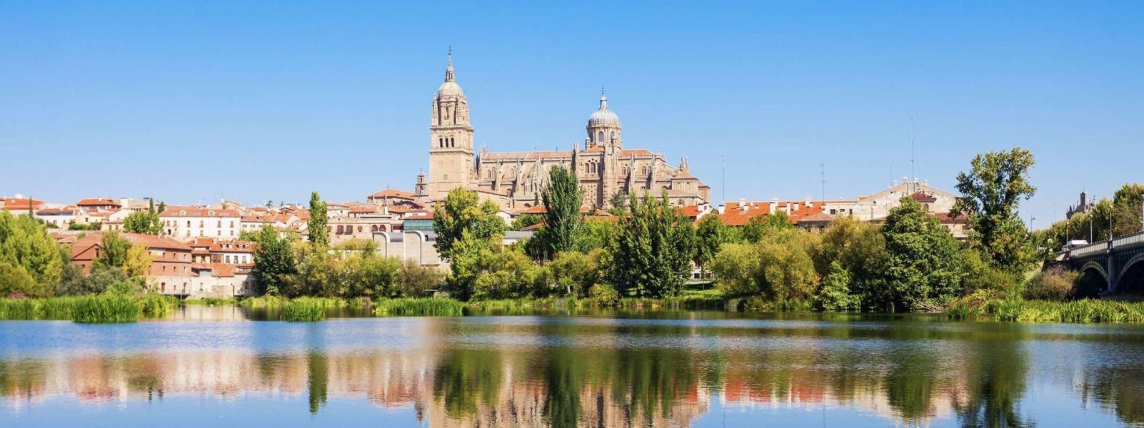 DISCOVER DOURO - Tour