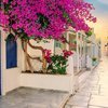 GREEK ISLAND - CRETE - SINGLES HOLIDAYS