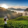 SINGLES HOLIDAYS - VIETNAM AND CAMBODIA