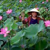 SINGLES HOLIDAYS - VIETNAM AND CAMBODIA