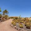 CANARY ISLANDS - FUERTEVENTURA - SINGLES HOLIDAYS
