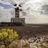 CANARY ISLANDS - FUERTEVENTURA - SINGLES HOLIDAYS