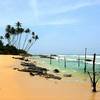 Sri Lanka Uncovered – In Great Solo Company - Go Singles Holidays