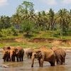 Sri Lanka Uncovered – In Great Solo Company - Go Singles Holidays