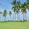 Sri Lanka Uncovered – In Great Solo Company - Go Singles Holidays
