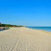 Viva Solo Cuba - Cuba Singles Fest 2025 - Go Singles Holidays