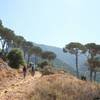 MADEIRA – WALKING - SINGLES HOLIDAYS