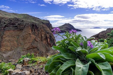 MADEIRA – WALKING
