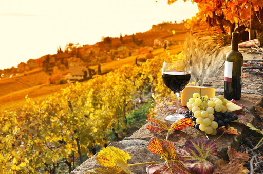 ITALY - TUSCANY - FLORENCE & PISA - SINGLES HOLIDAYS